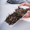 【天月白茶】2012年福鼎白茶见素白牡丹饼茶 350g 商品缩略图2