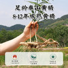 【仙人余粮 滋补佳品】李时珍·泰山黑金黄精 地道泰山黄精 九蒸九晒制作 软糯香甜 肉厚饱满 开袋即食 礼罐包装 适合新年送礼 150g/罐 商品缩略图1