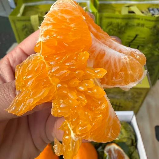 源心春见耙耙柑 商品图0