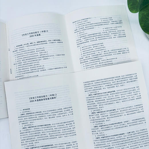 社会工作综合能力（中级）真题详解 2026 中国社会出版社官方教辅 全国社会工作者职业资格考试 社工证 商品图2
