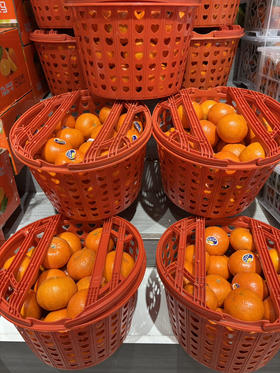 广西精品无核沃柑一件约毛重10斤装