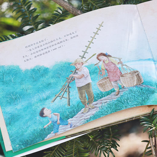 乡土中国绘本：我们的树 商品图2