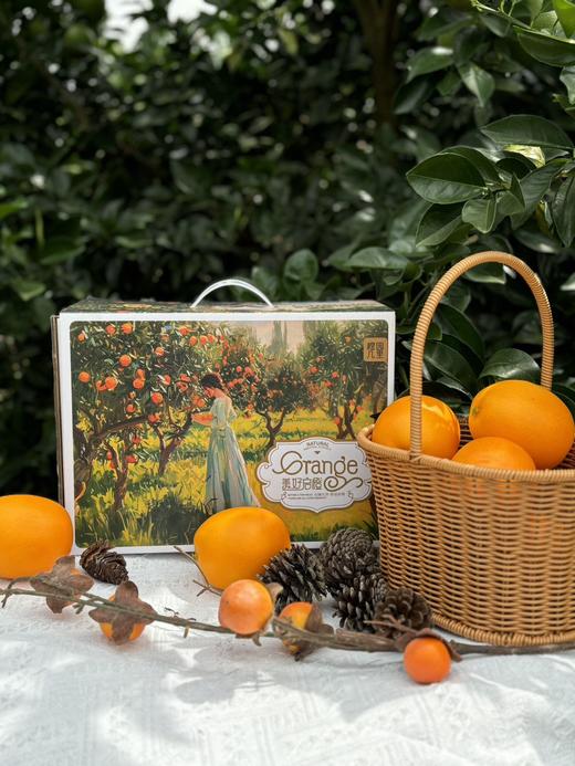 橙园几里赣南脐橙礼盒 商品图1