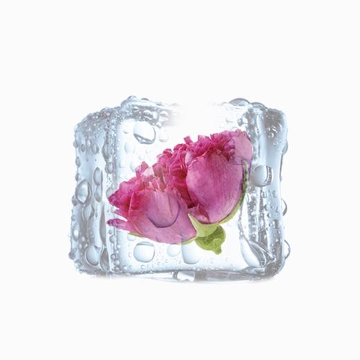 花田玑密-41°玫瑰冷萃鲜花液【山东必买好品】 商品图2