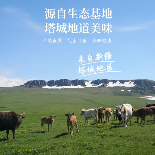额雁·新疆塔城风干牛肉1kg  产地直发 商品图3