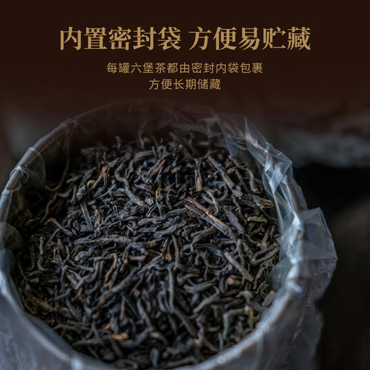 【定年】八年陈六堡茶100g 商品图1