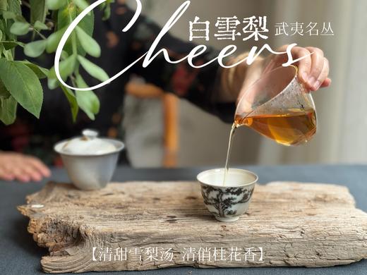 【稀缺名丛】武夷岩茶名丛《白雪梨》，干燥的冬季，少不了这一杯清甜雪梨汤 商品图9
