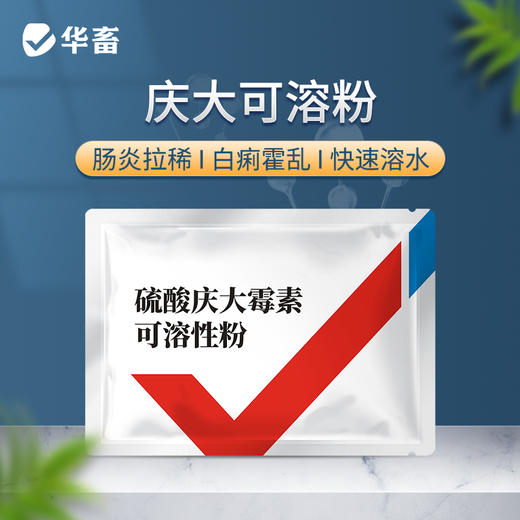 华畜5%硫酸庆大霉素可溶性粉 治疗肠炎拉稀 抗菌消炎 商品图0