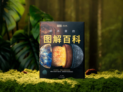 《课本里的图解百科》（8册）|紧扣课本，跨学科联动，1000+知识创意图解，孩子爱读、学得深、记得牢，轻松培养孩子综合思维 商品图0