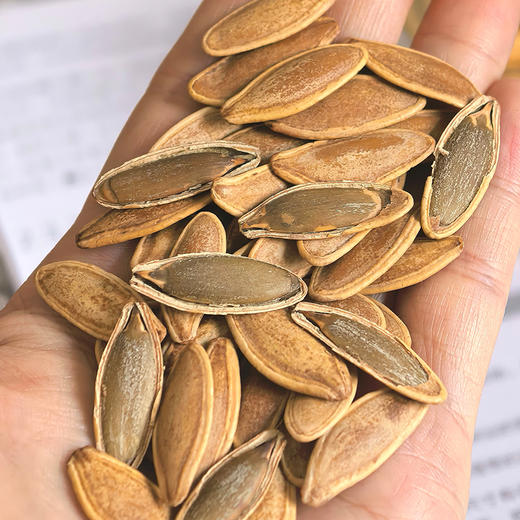 【我核你】新疆美人甲瓜子 五香南瓜子 粒大干净 配料简单 一嗑就沦陷 越嗑越上头 商品图2