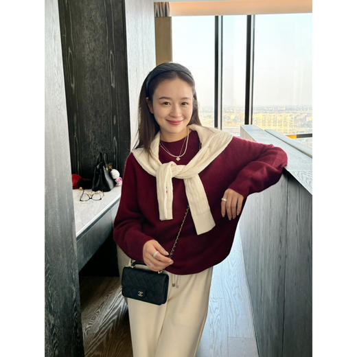 2601403    金丝 羊毛拉毛 针织衫 商品图6