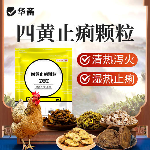 华畜四黄止痢颗粒 清热泻火湿热止痢 严选中药材吸收快 禽畜通用 商品图0