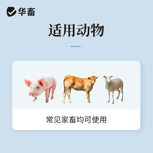 安痛定注射液5支 解热镇痛 治疗肌肉痛关节痛和神经痛 马牛羊猪用 商品图2