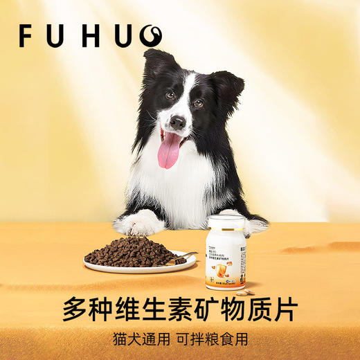 【俘获好礼】俘获B21猫咪维生素宠物多种复合维生素片补充微量元素防掉毛犬猫通用 商品图4