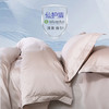 华纺100支纯棉抗菌四件套【山东必买好品】 商品缩略图13