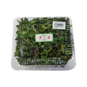 【春菜】萝卜苗（盒）