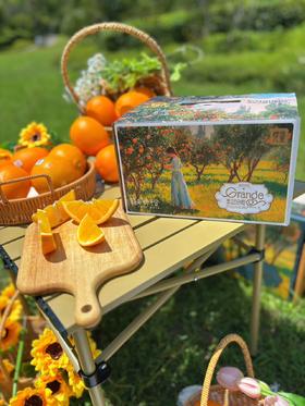 橙园几里赣南脐橙礼盒