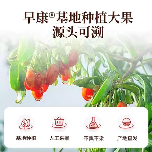 【益品良食】早康浓鲜枸杞原浆300ml宁夏中宁鲜枸杞直接喝鲜果枸杞汁液 商品图4