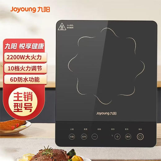 九阳（Joyoung） 微晶面板电磁炉 家用2200w大火力 10档火力调节 多锅具适用C22S-N5810 商品图0