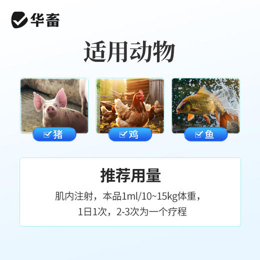 【社群专享】华畜兽药氟苯尼考注射液兽用牛羊呼吸道感染肺肠炎咳嗽气喘消炎 商品图2