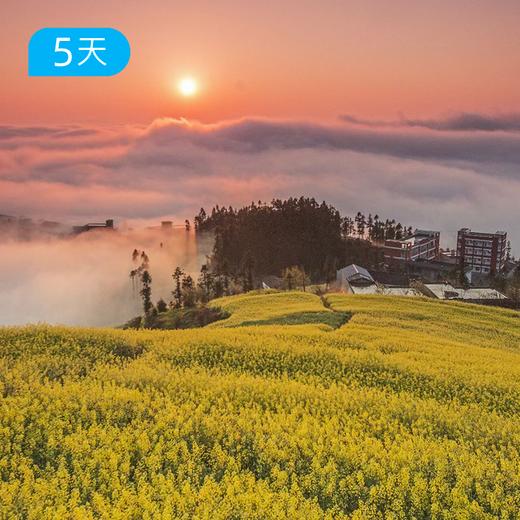 第一届 云南罗平花季户外节 春季爆款 | 昆明集散 5天4晚轻户外慢旅行  | 罗平油菜花 × 抚仙湖骑行 × 弥勒温泉 商品图2