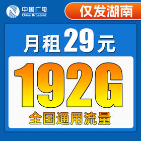 【只发湖南】广电29元192G全国流量