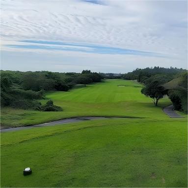 济州岛·乐园高尔夫俱乐部 Raon Golf Club | 济州岛高尔夫球场 | 韩国高尔夫球场俱乐部 商品图3