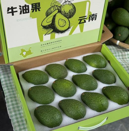 云南孟连牛油果 商品图0