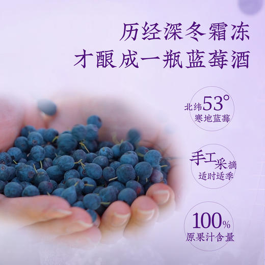 全食物日记有机蓝莓酒 500mL/瓶 甜型 酒精度10%vol 商品图2