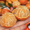 广西荔浦沙糖桔 商品缩略图1