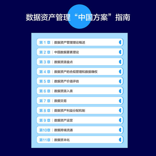 数据资产管理知识体系指南 国际数据管理协会大中华区编著 确权估值入表交易融合国际理论中国实践政策实操案例 产业经管书籍 商品图2
