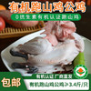 【厂商直发】有机跑山鸡公鸡3.4斤山林生态散养0抗生素包邮 商品缩略图0