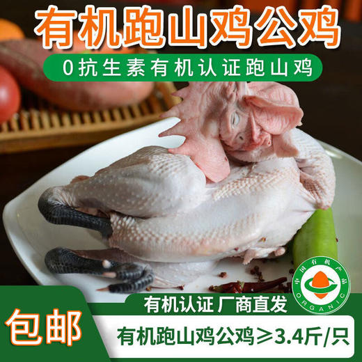 【厂商直发】有机跑山鸡公鸡3.4斤山林生态散养0抗生素包邮 商品图0