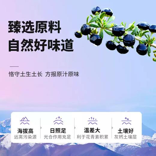 【益品良食】早康黑枸杞原浆150ml*5盒 青海黑枸杞花青素枸杞原液 商品图3