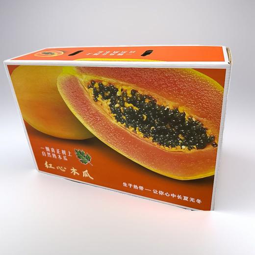 海南树上熟木瓜【ABDY1】 商品图1