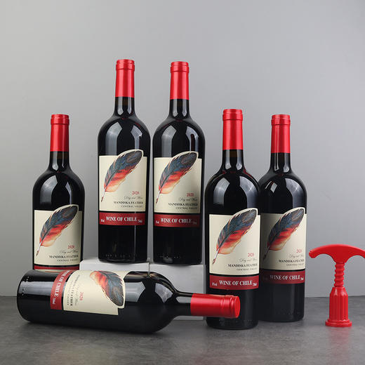 智利原酒进口—曼迪斯卡羽毛干红 中央山谷产区赤霞珠老藤葡萄树果香浓郁 木桶陈酿酒体醇厚 14度微醺香气持久 商品图1