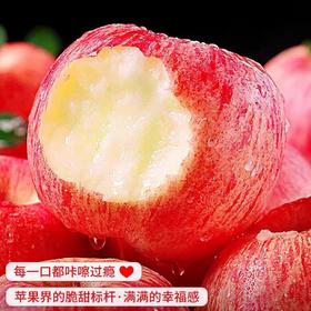 【自营】山西万荣 晋地特产苹果 昼夜温差足 酸甜适中口感佳