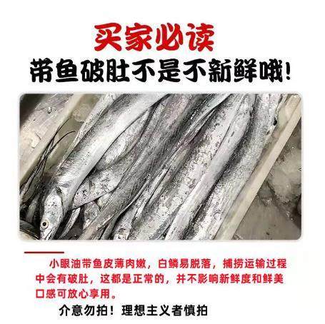 【渤海带鱼】渤海湾小眼带鱼整条 商品图2