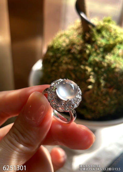 6251301，蛋面戒指。具体价格微信咨询 商品图2