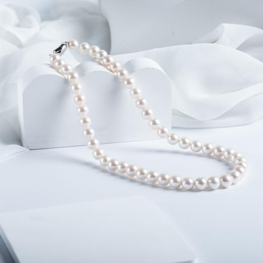 白色淡水珍珠项链 XL569 商品图0