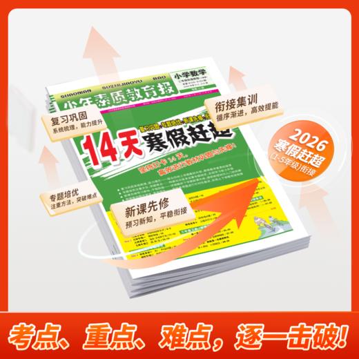 2026春 二年级 数学 《14天寒假赶超》 商品图4
