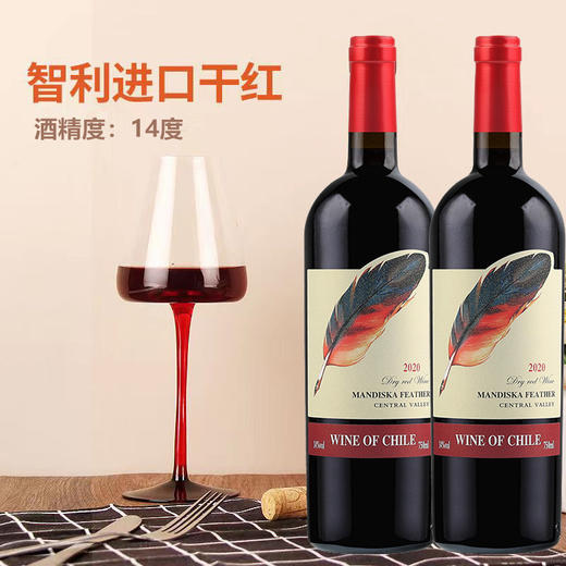 智利原酒进口—曼迪斯卡羽毛干红 中央山谷产区赤霞珠老藤葡萄树果香浓郁 木桶陈酿酒体醇厚 14度微醺香气持久 商品图4