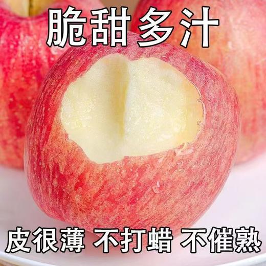 【自营】山西万荣 晋地特产苹果 昼夜温差足 酸甜适中口感佳 商品图1