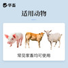 华畜硫酸阿托品注射液牛羊猪解磷中毒犬猫有机磷急救解毒呕吐痉挛 商品缩略图3