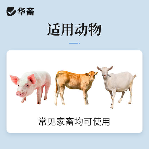 华畜硫酸阿托品注射液牛羊猪解磷中毒犬猫有机磷急救解毒呕吐痉挛 商品图3