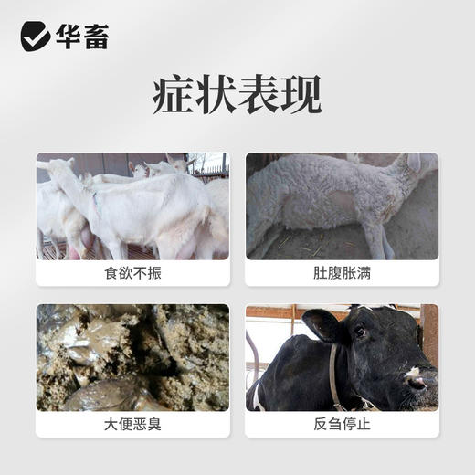 华畜兽药 健胃散2斤装 健胃消食 促生长 中药促消化 理气消胀 猪牛羊用 商品图1