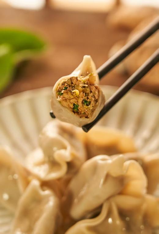 纯净素水饺  || 荠菜笋丁大馄饨 、纯净素无五辛、无蛋奶  || 一如素食品 商品图1