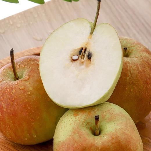 【新鲜采摘❗️鲜嫩清甜】山西玉露香梨水果果园直发10斤现摘梨子水果酥新鲜水果。jc 商品图2