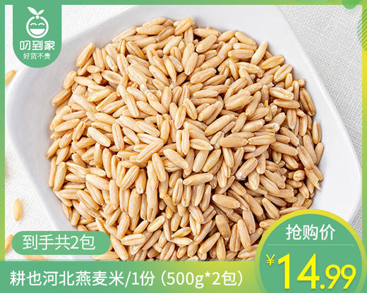 耕也河北燕麦米/1份（500g*2包）生产日期：26年2月 商品图0
