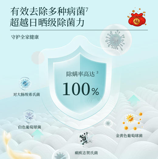 易极碌柚叶洗衣珠 10x高活性浓缩多效合一除菌除螨 商品图4